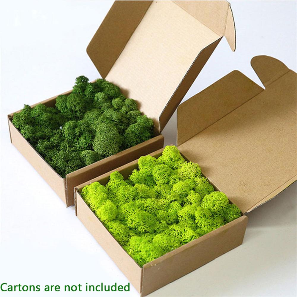 Preserved Moss Sheet - Artificial Plant Eternal Life Moss Garden