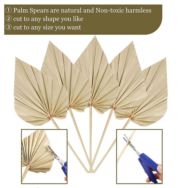 80Pcs Boho Dried Palm Spears L - Palm Leaf Dried recension och pris