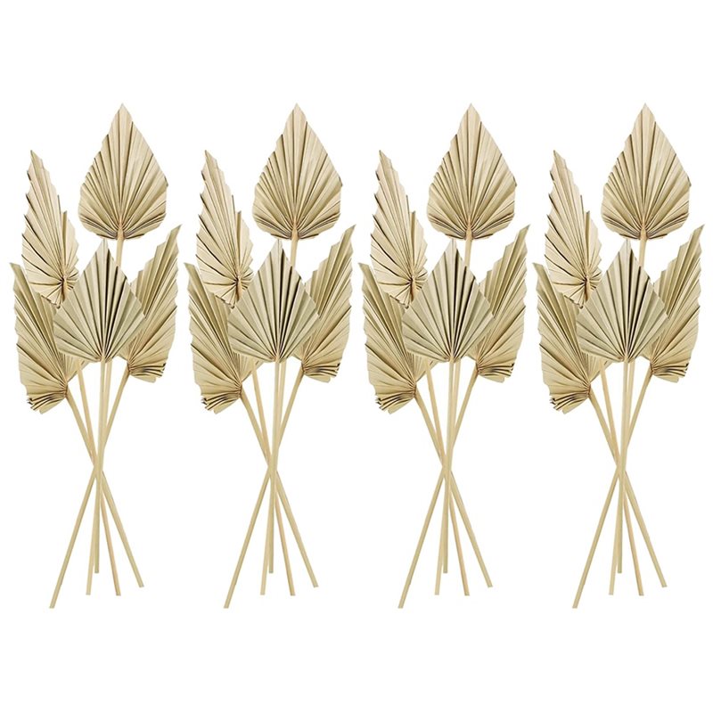 80Pcs Boho Dried Palm Spears L - Palm Leaf Dried recension och pris