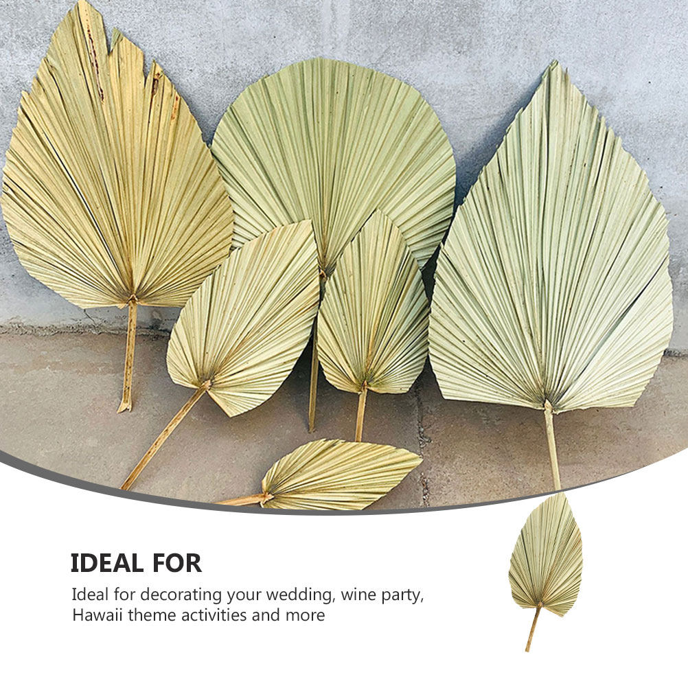 1Pcs Vivid Palm Leaf Decor Nat - Palm Leaf Dried recension och pris