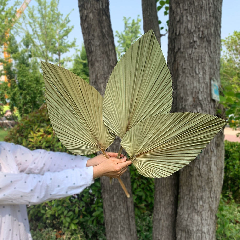 1Pcs Vivid Palm Leaf Decor Nat - Palm Leaf Dried recension och pris