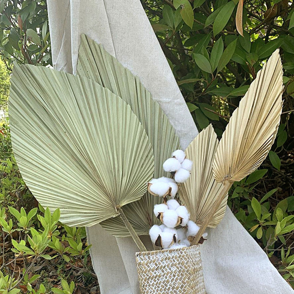 1Pcs Vivid Palm Leaf Decor Nat - Palm Leaf Dried recension och pris