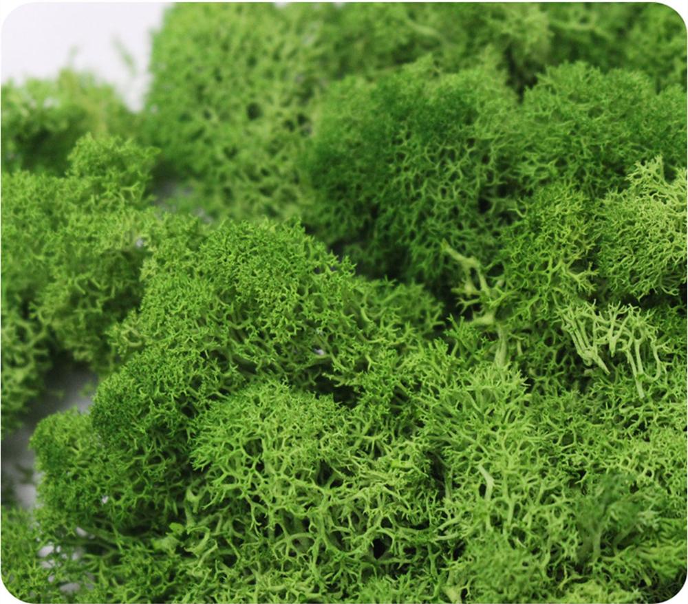 Artificial Plant Eternal Life  - Preserved Moss Sheet recension och pris