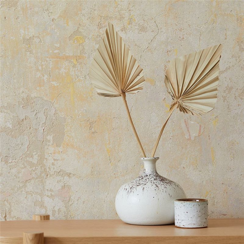 ABYN-Boho Dried Palm Spears Sm - Palm Leaf Dried recension och pris