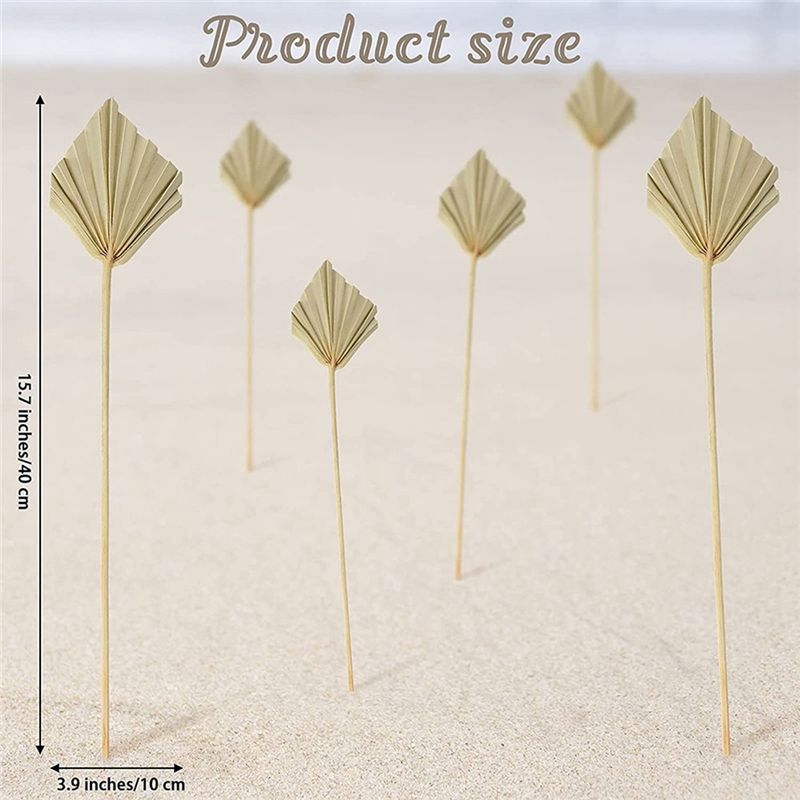 AS60-30 Pcs Boho Dried Palm Sp - Palm Leaf Dried recension och pris