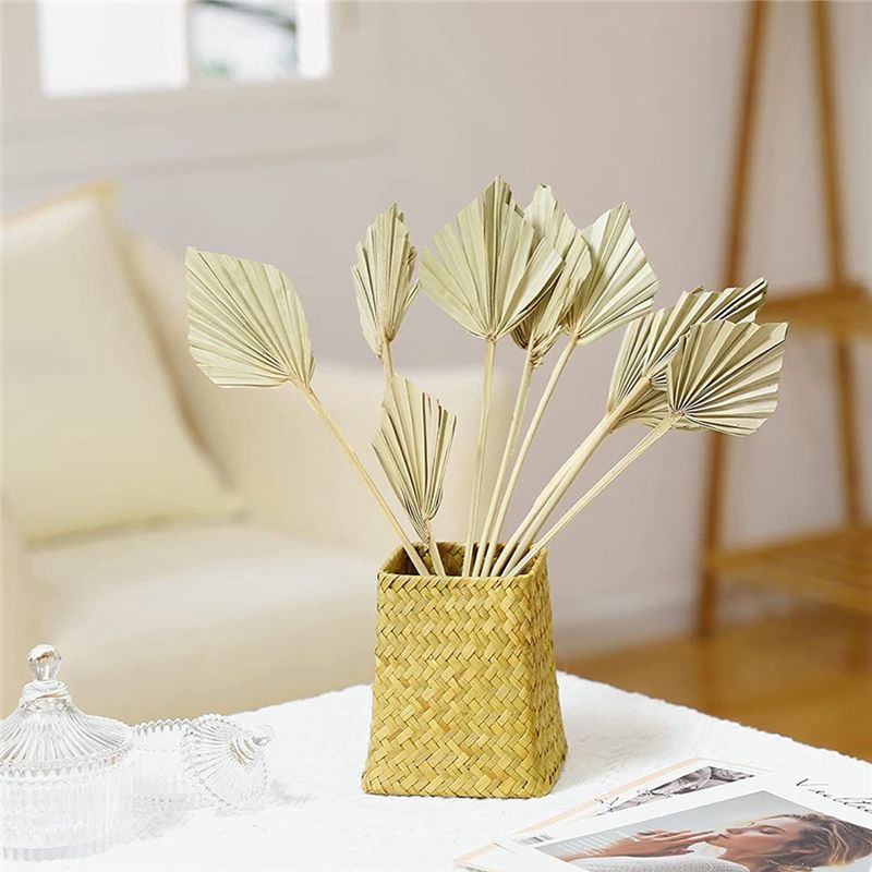 AS60-30 Pcs Boho Dried Palm Sp - Palm Leaf Dried recension och pris