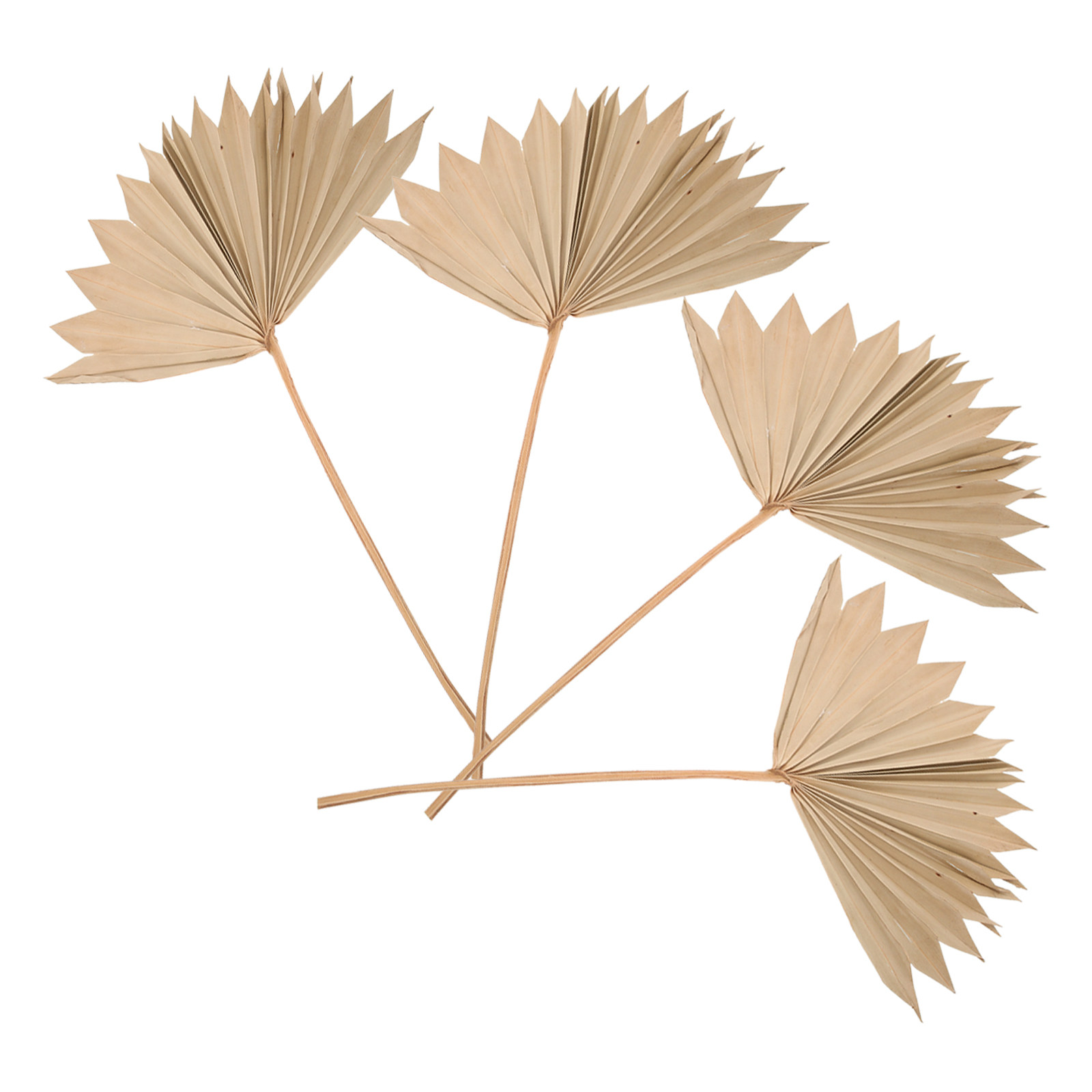 4Pcs Dried Palm Leaf Ornament  - Palm Leaf Dried recension och pris