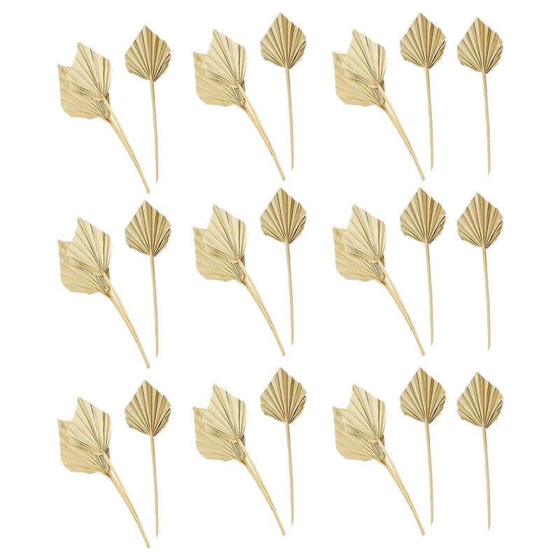 A36T-30 Pcs Boho Dried Palm Sp - Palm Leaf Dried recension och pris