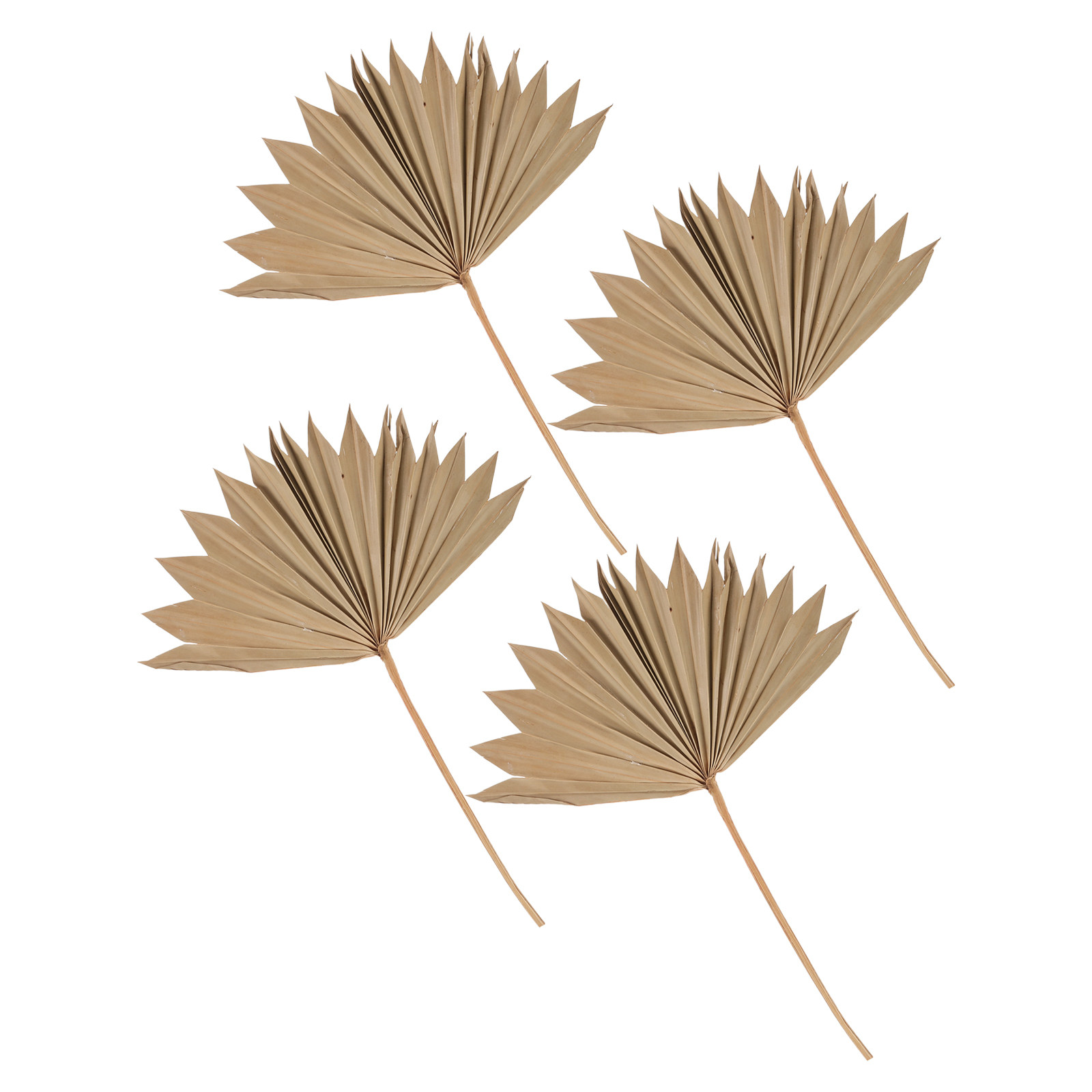 4Pcs Dried Palm Leaf Decor Nat - Palm Leaf Dried recension och pris