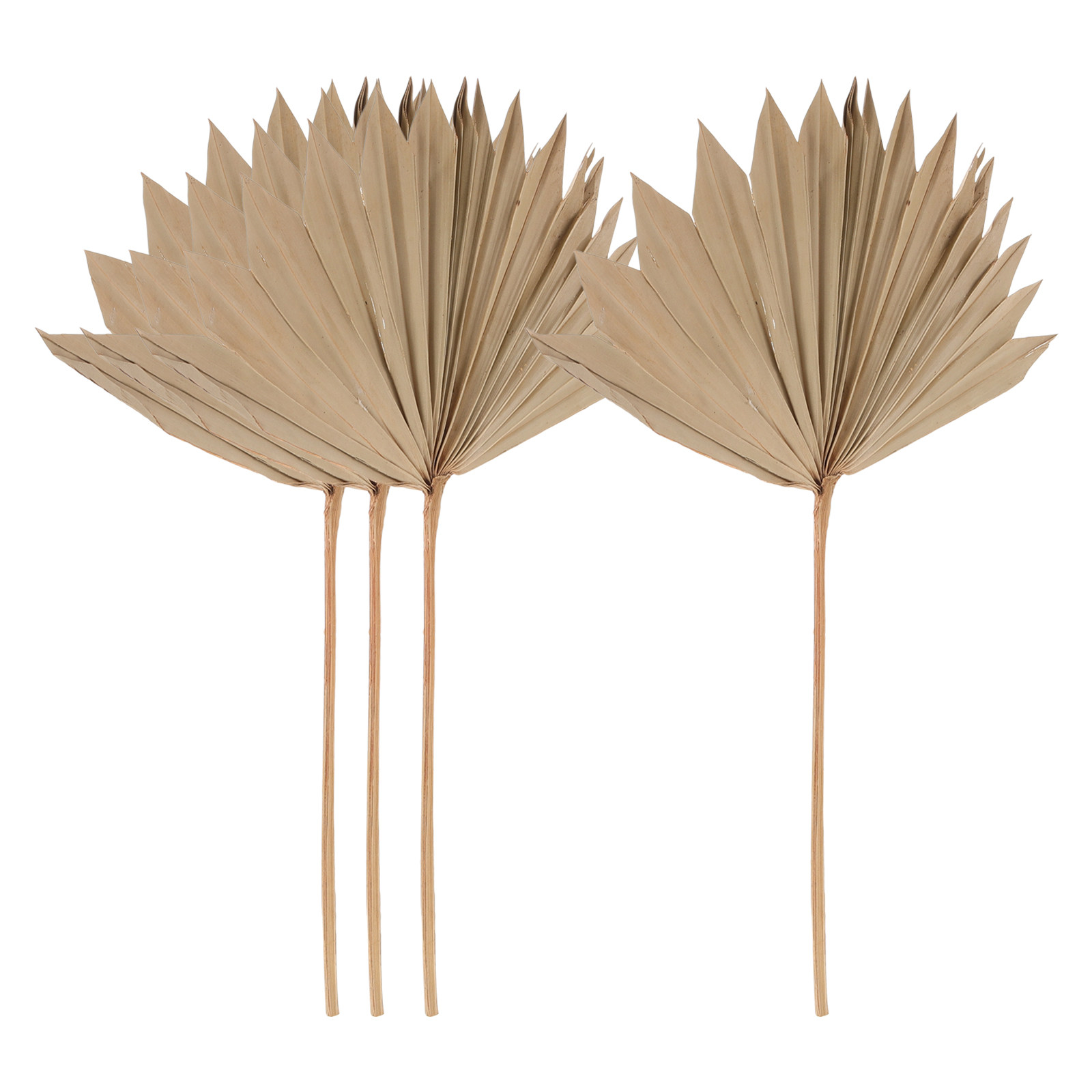 4Pcs Dried Palm Leaf Decor Nat - Palm Leaf Dried recension och pris