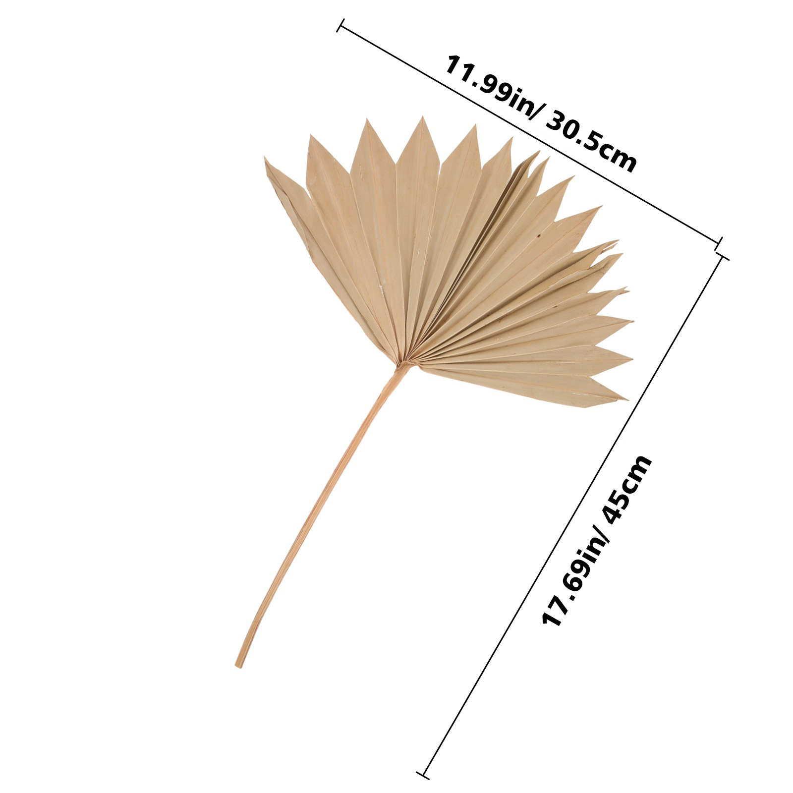 4Pcs Dried Palm Leaf Decor Nat - Palm Leaf Dried recension och pris