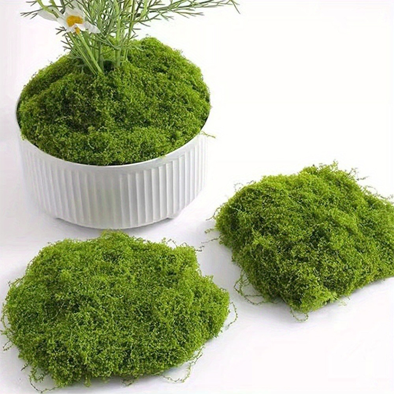 Green Fake Moss DIY Crafts Gra - Preserved Moss Sheet recension och pris
