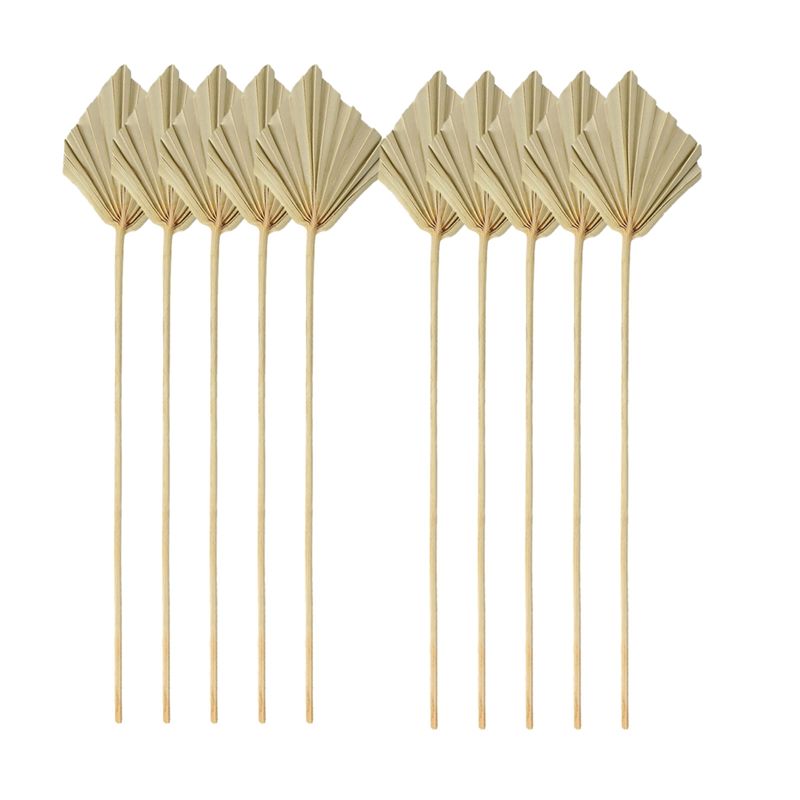 A04G-Boho Dried Palm Spears Sm - Palm Leaf Dried recension och pris