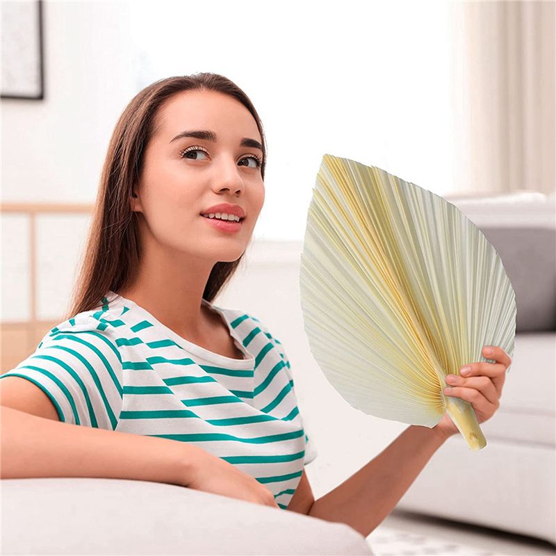 Large White Dried Palm Leaves  - Palm Leaf Dried recension och pris